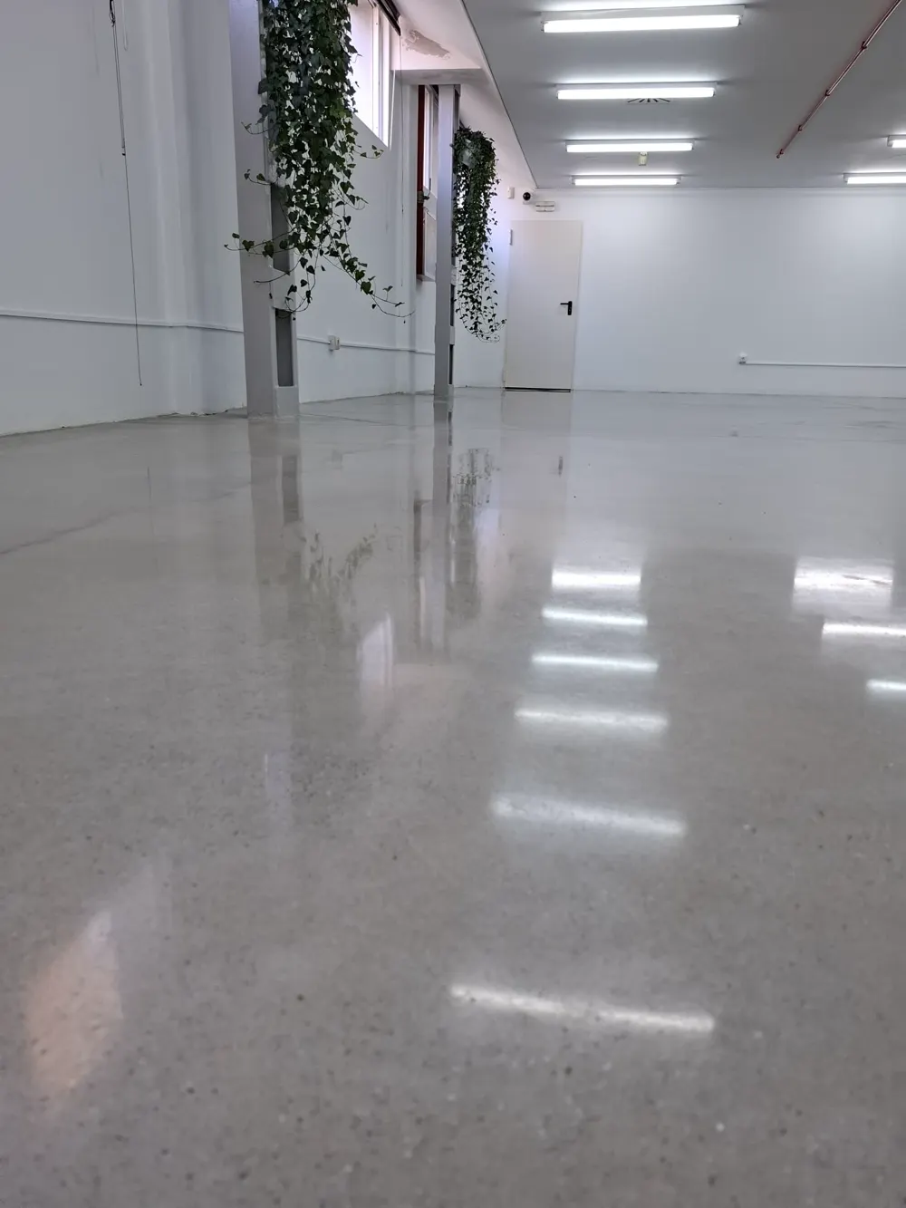 Sala con hormigón pulido blanco de brillo intenso — trabajo real de Pulimentos Jiménez